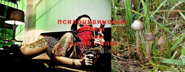 МДПВ Алексин